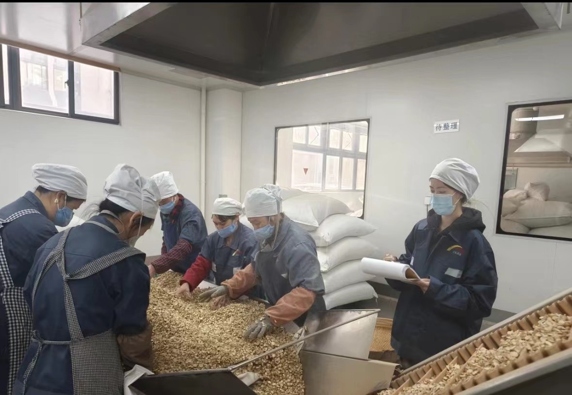 Qingdao Biohoer BioHoer Bioch Co., Ltd. құрылысты бастады