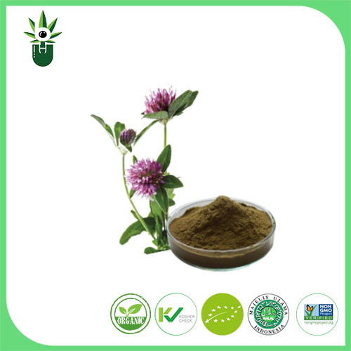 Medicago sativa L сығындысы