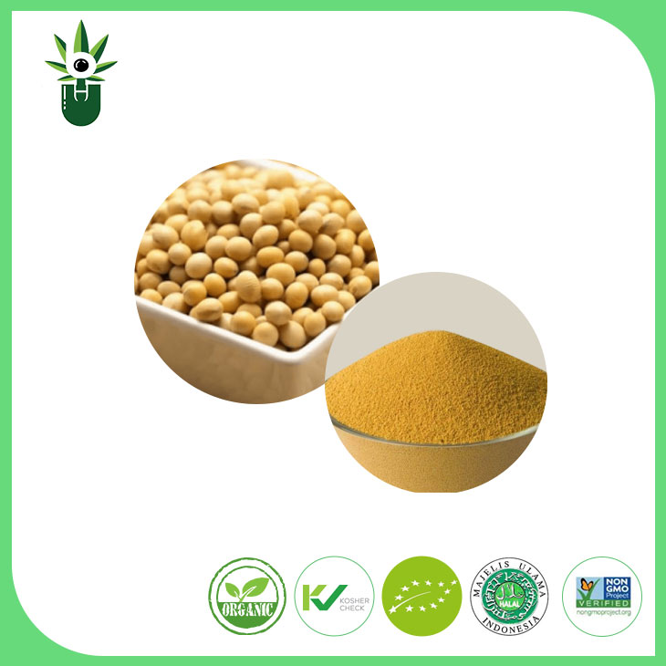 GMO емес соя сығындысы Опа 90% соя изофлавондары